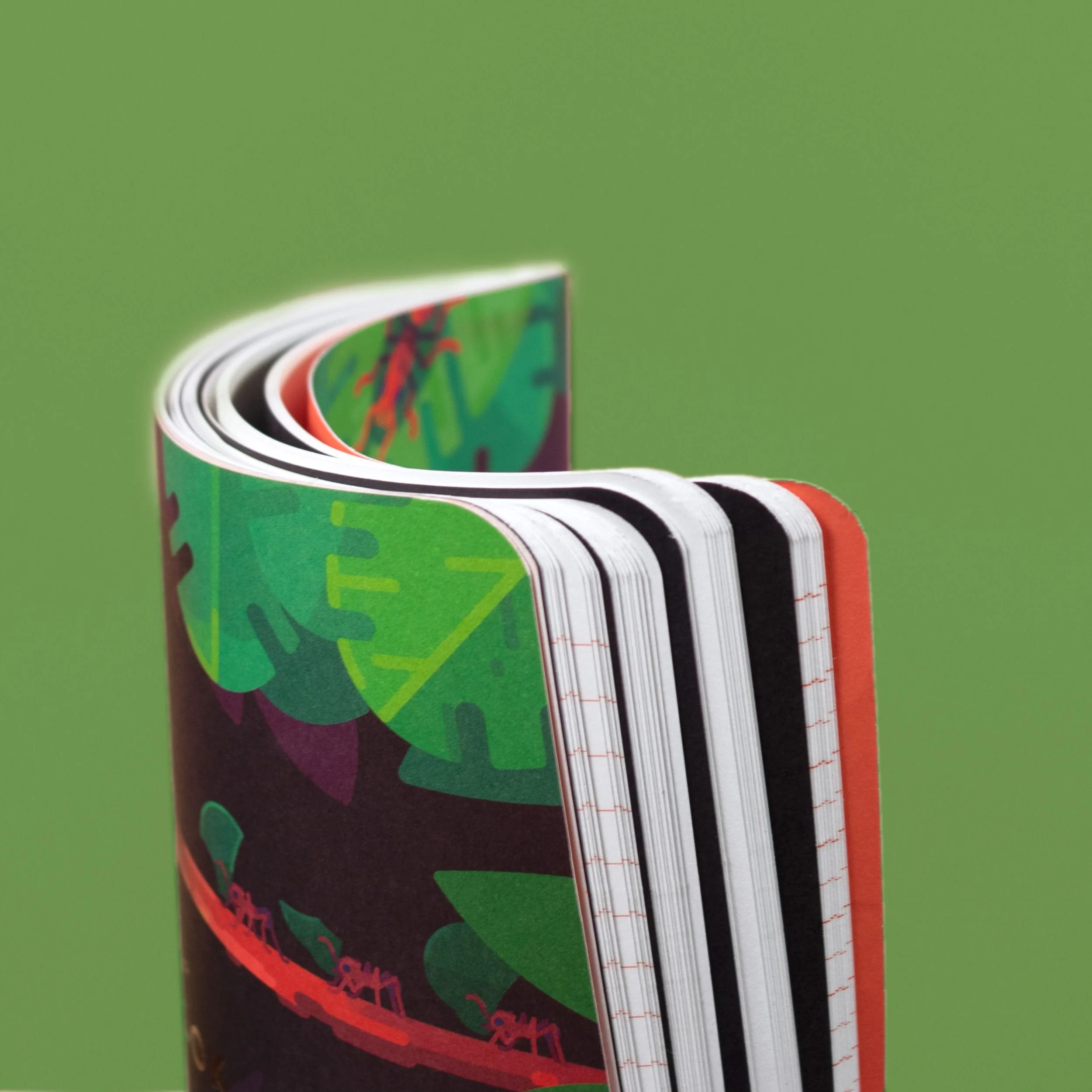 Ant Explorer Notebook - Image 4