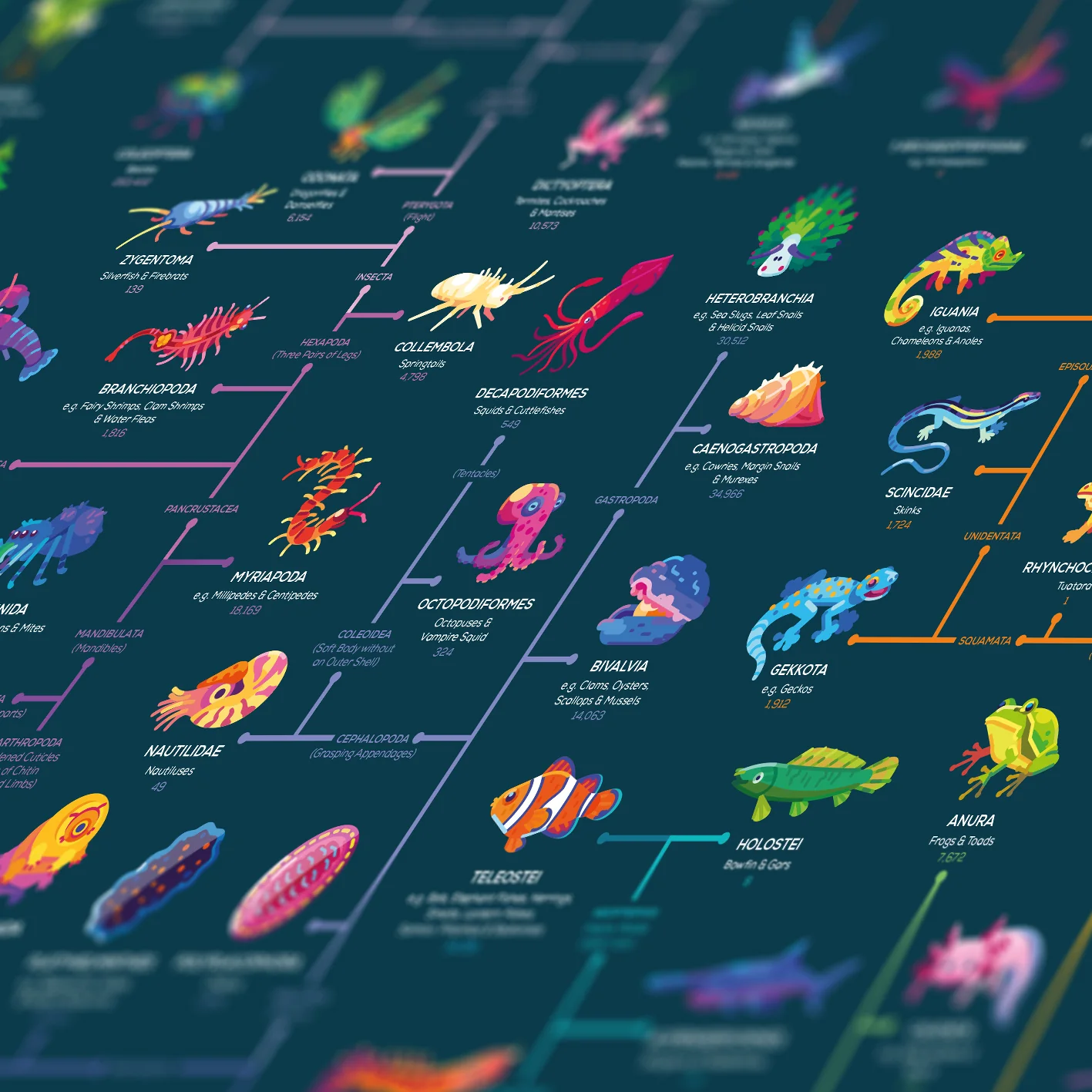 Map of Evolution Poster - Image 3