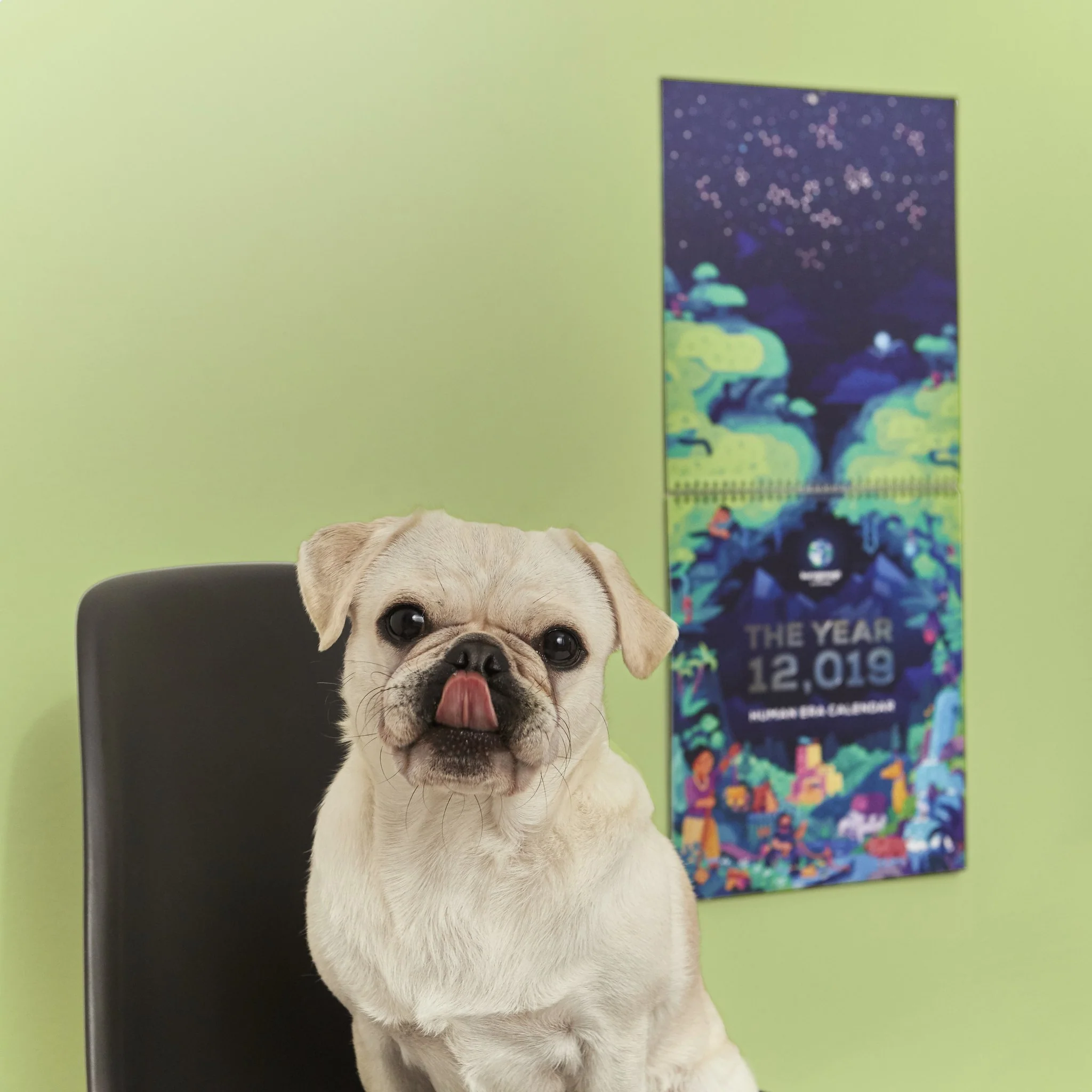 12,019 Human Era Calendar - Image 8