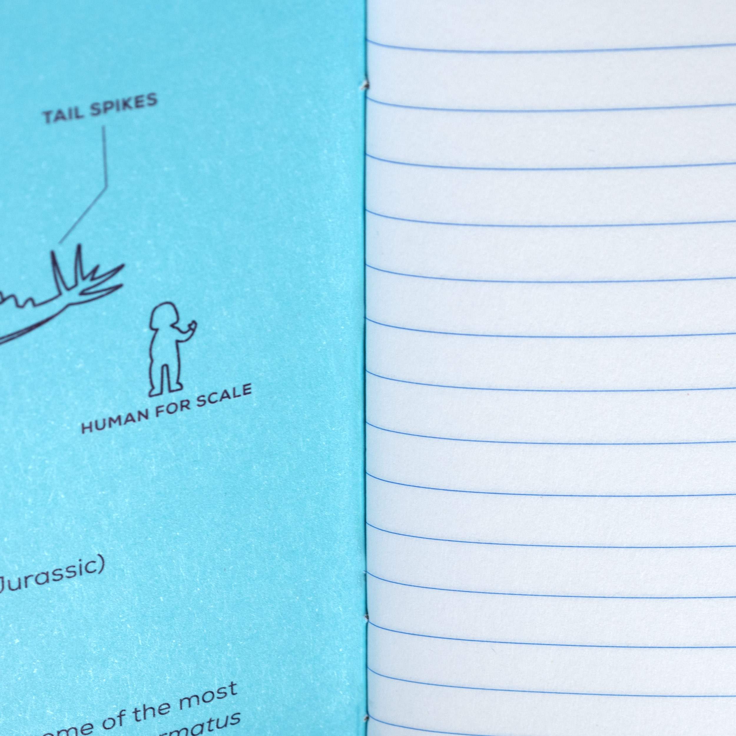 Pocket Log: Dinosaur Collection - Image 11