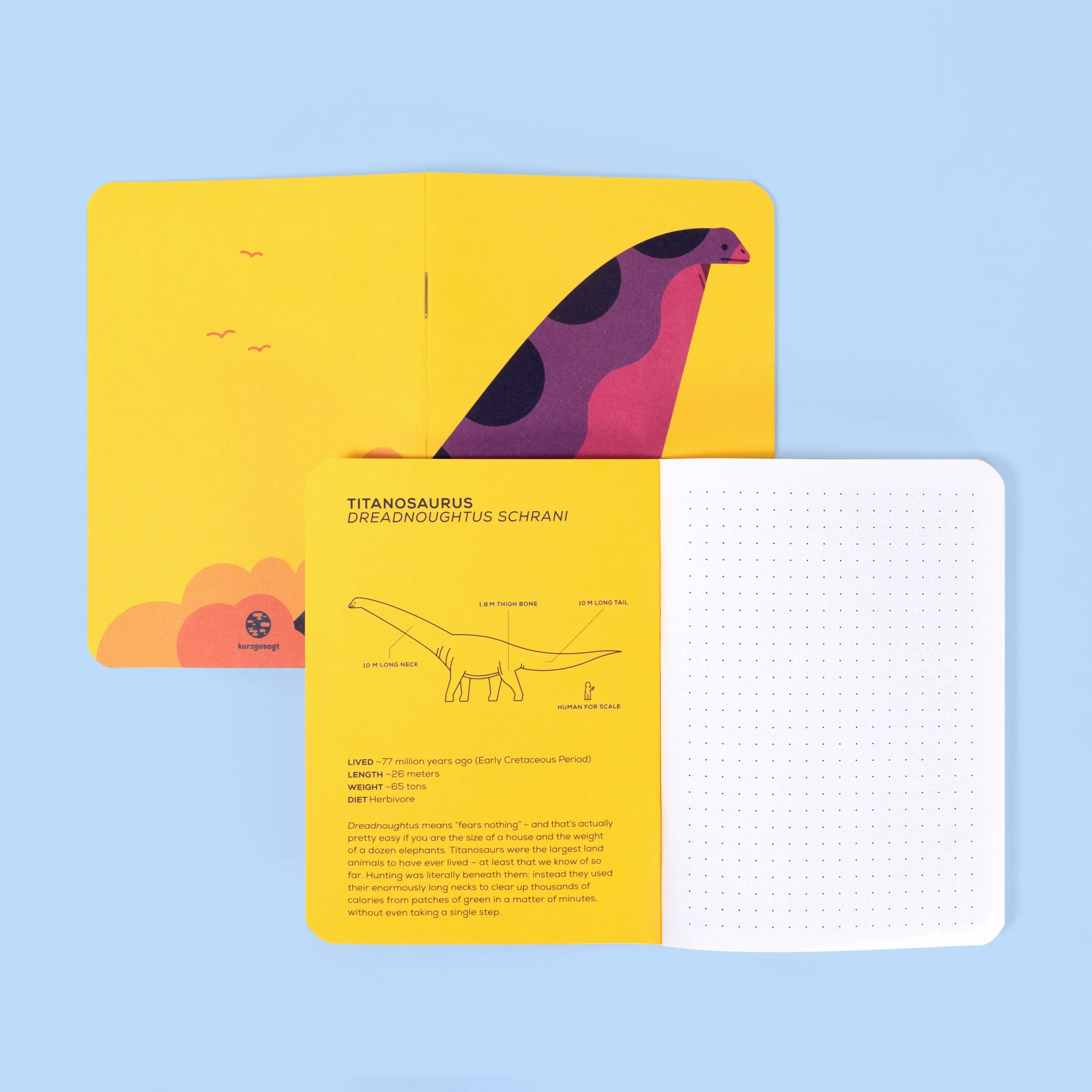 Pocket Log: Dinosaur Collection - Image 7