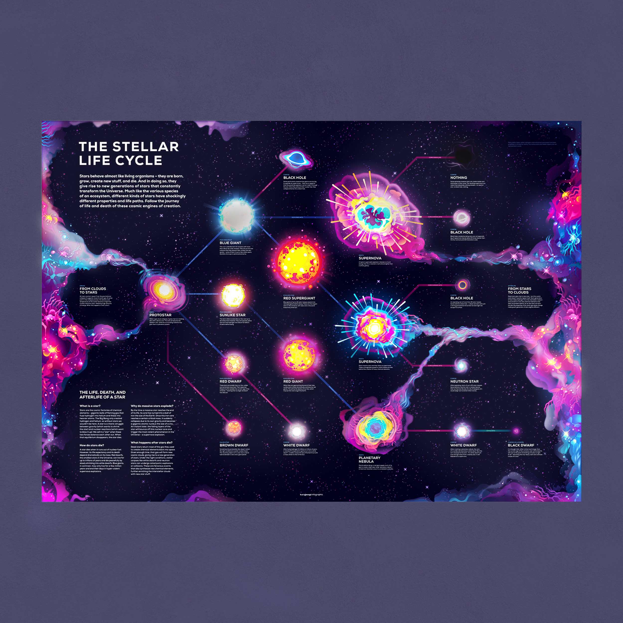 Stellar Life Cycle Poster - Image 4